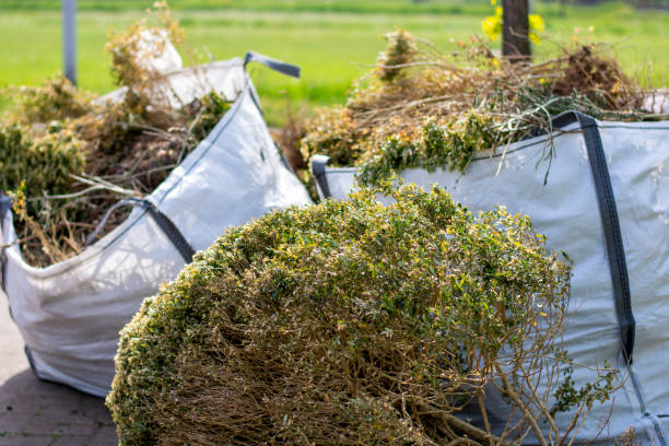 Best Same-Day Junk Removal  in Dundas, MN